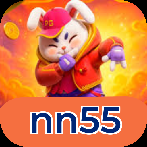 nn55 Logo